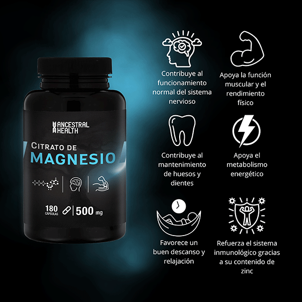 Producto 4